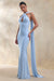 ECM_HR_CL135876013 - Rhoda | Powder Blue Twist Halter-Neck Cape Maxi Dress 0.jpg