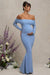 Pretty Perfect | Puderblaues Umstands-Bardot-Maxikleid aus Mesh mit Raffung